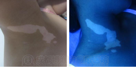 图片10.png