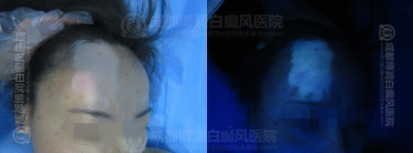 3.1_副本_副本.png
